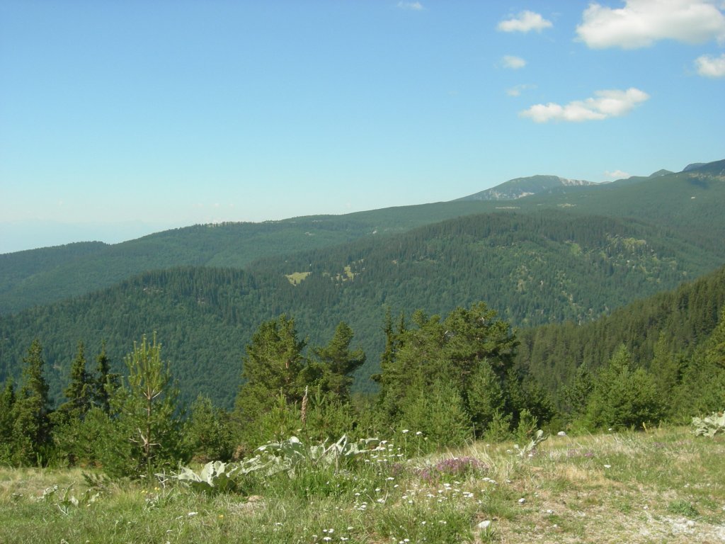 Натиснете снимката за да я уголемите
Име:DSCN0798.jpg
Прегледи:1
Размер:146.0 КБ
ID:5978762