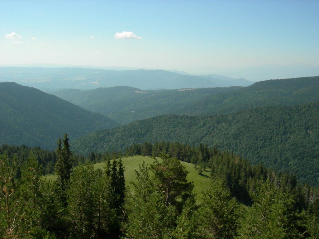 Натиснете снимката за да я уголемите
Име:DSCN0800.jpg
Прегледи:1
Размер:122.6 КБ
ID:5978764