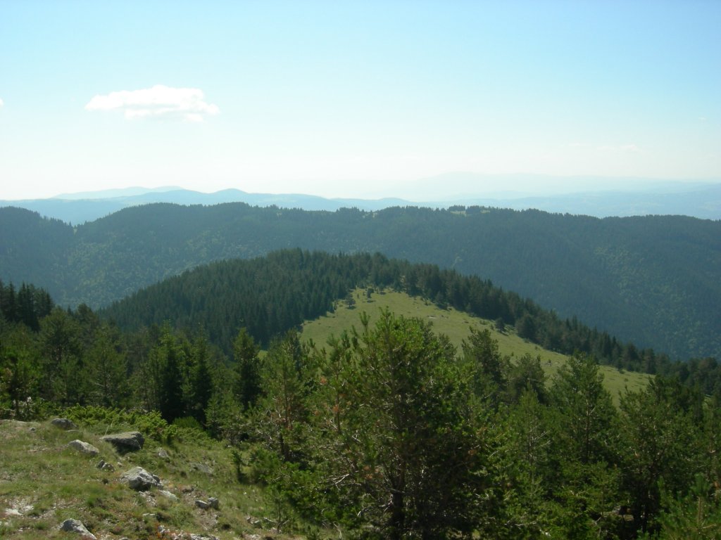 Натиснете снимката за да я уголемите
Име:DSCN0801.jpg
Прегледи:1
Размер:115.5 КБ
ID:5978765