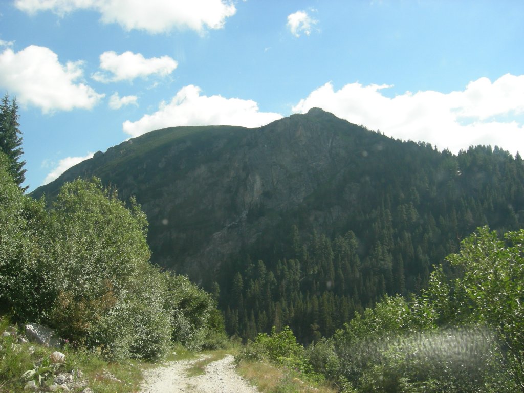 Натиснете снимката за да я уголемите
Име:DSCN0813.jpg
Прегледи:1
Размер:151.3 КБ
ID:5978776