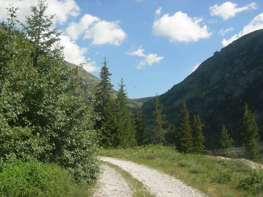 Натиснете снимката за да я уголемите
Име:DSCN0815.jpg
Прегледи:1
Размер:183.9 КБ
ID:5978778