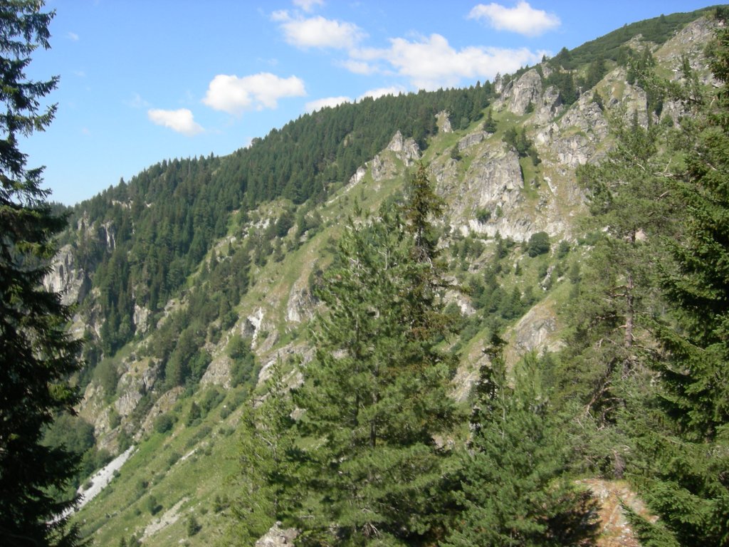 Натиснете снимката за да я уголемите
Име:DSCN0816.jpg
Прегледи:1
Размер:207.8 КБ
ID:5978779