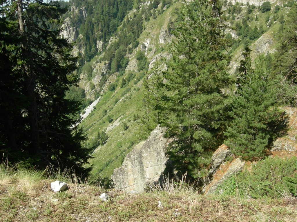 Натиснете снимката за да я уголемите
Име:DSCN0817.jpg
Прегледи:1
Размер:279.9 КБ
ID:5978780