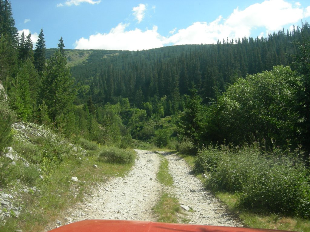 Натиснете снимката за да я уголемите
Име:DSCN0819.jpg
Прегледи:1
Размер:185.6 КБ
ID:5978782
