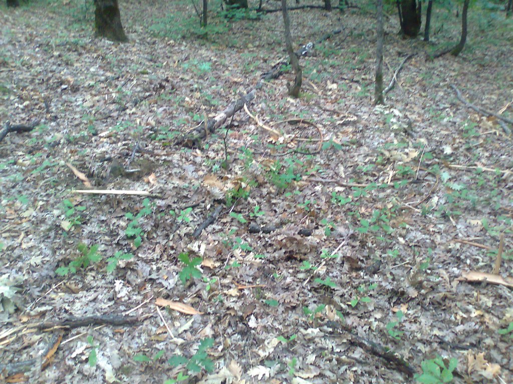 Натиснете снимката за да я уголемите
Име:Снимка0248.jpg
Прегледи:1
Размер:264.9 КБ
ID:5981355