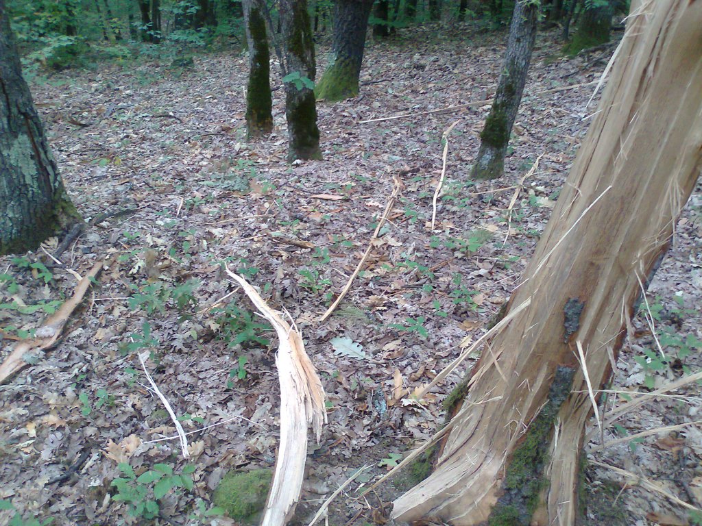 Натиснете снимката за да я уголемите
Име:Снимка0249.jpg
Прегледи:1
Размер:285.1 КБ
ID:5981359