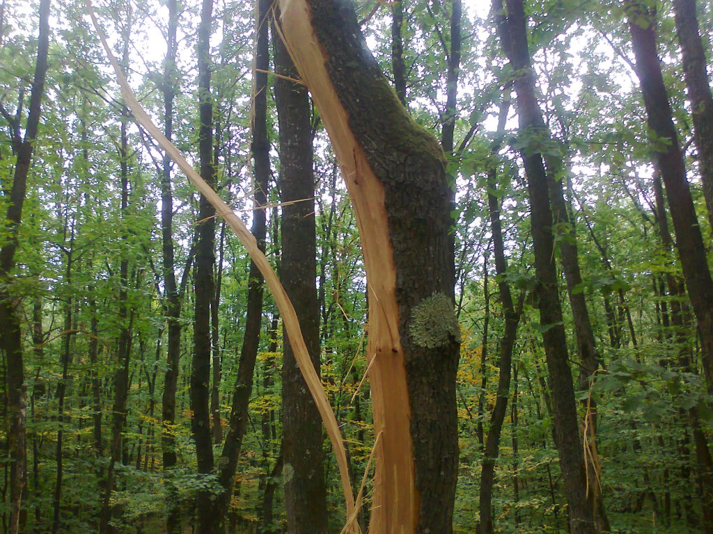 Натиснете снимката за да я уголемите
Име:Снимка0256.jpg
Прегледи:1
Размер:266.5 КБ
ID:5981360