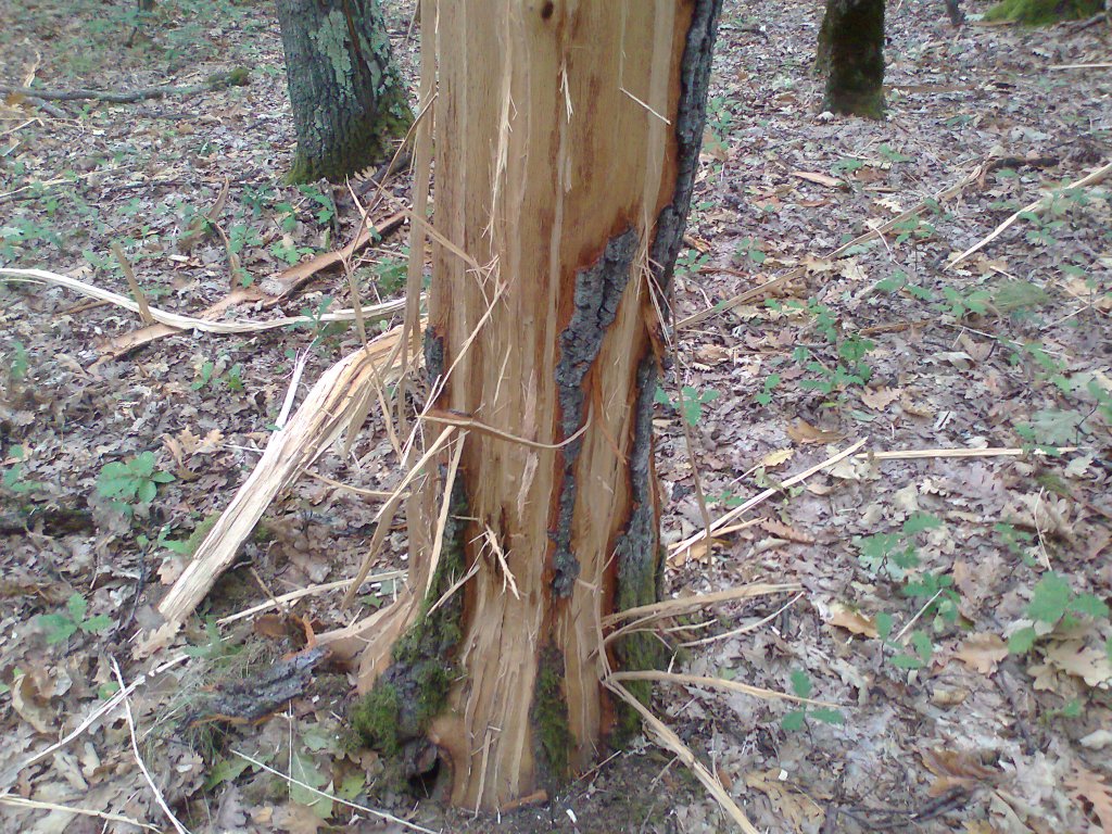 Натиснете снимката за да я уголемите
Име:Снимка0257.jpg
Прегледи:1
Размер:289.5 КБ
ID:5981361