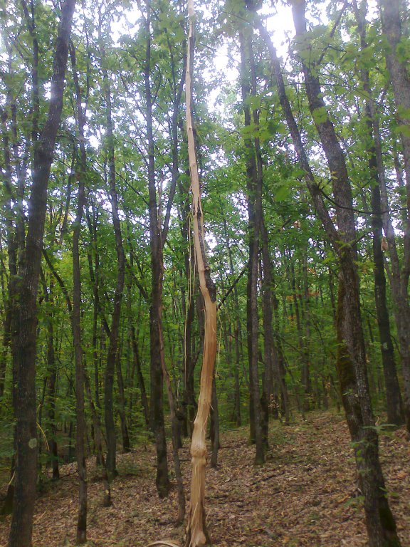 Натиснете снимката за да я уголемите
Име:Снимка0259.jpg
Прегледи:1
Размер:162.8 КБ
ID:5981363