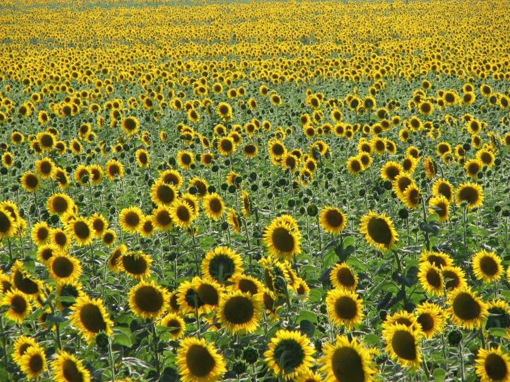 Натиснете снимката за да я уголемите
Име:IMG_8766.jpg
Прегледи:1
Размер:339.0 КБ
ID:5988640