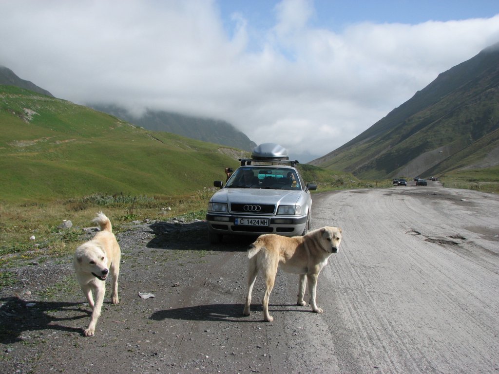 Натиснете снимката за да я уголемите
Име:IMG_8962.jpg
Прегледи:1
Размер:145.1 КБ
ID:5988655