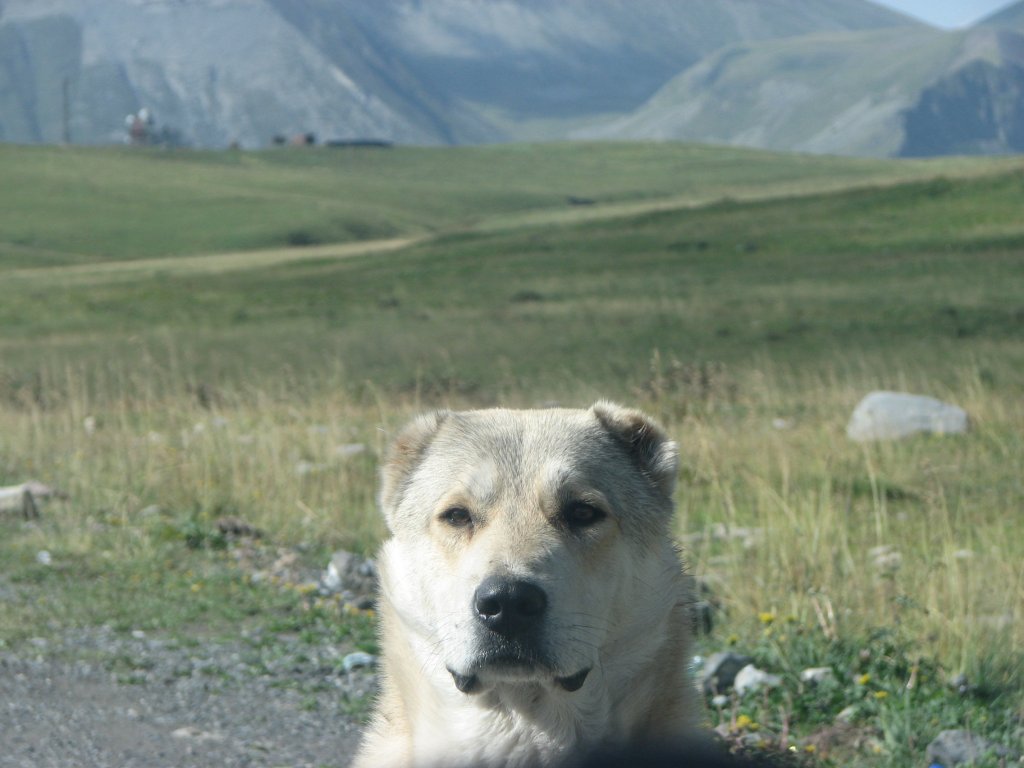 Натиснете снимката за да я уголемите
Име:IMG_8965.jpg
Прегледи:1
Размер:97.6 КБ
ID:5988656