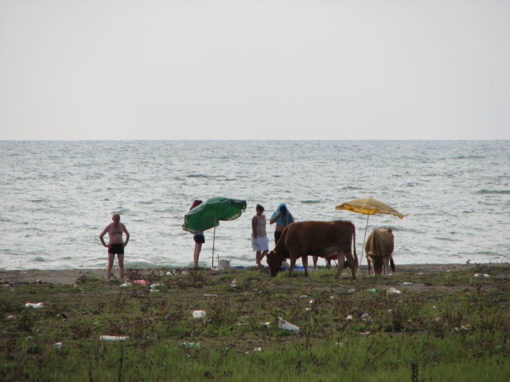 Натиснете снимката за да я уголемите
Име:IMG_9072.jpg
Прегледи:1
Размер:110.6 КБ
ID:5988664