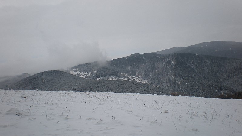 Натиснете снимката за да я уголемите
Име:PC080375.jpg
Прегледи:1
Размер:46.7 КБ
ID:5433307