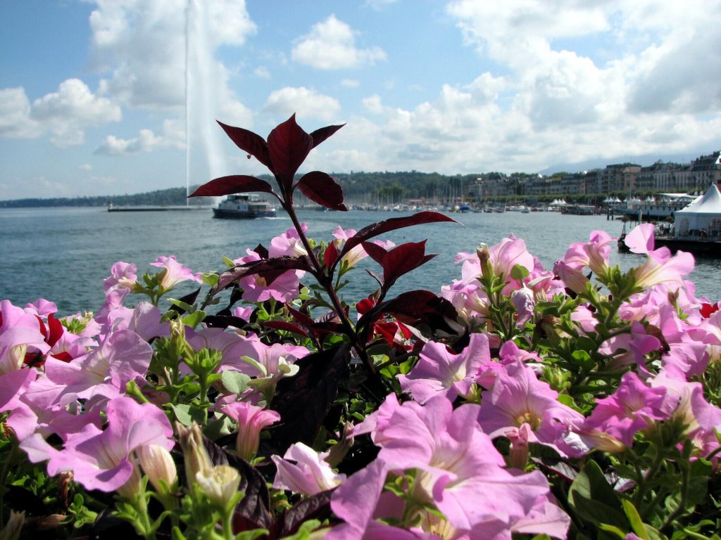 Натиснете снимката за да я уголемите
Име:10.jpg
Прегледи:1
Размер:164.0 КБ
ID:5994968