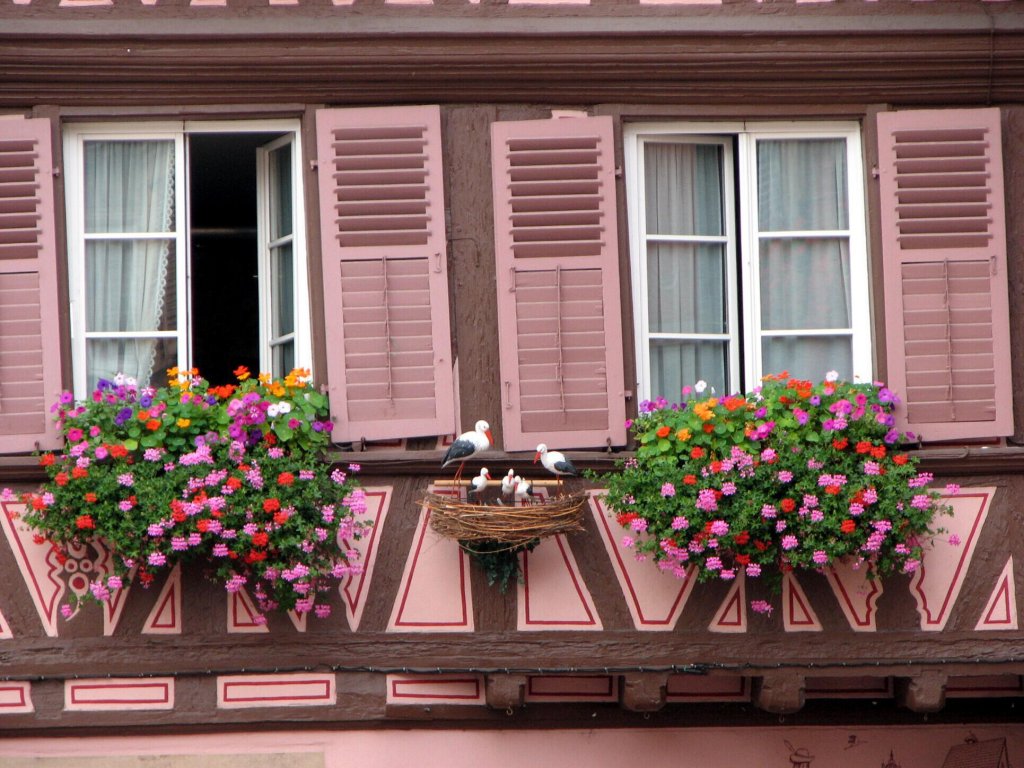 Натиснете снимката за да я уголемите
Име:18.jpg
Прегледи:1
Размер:175.7 КБ
ID:5994975