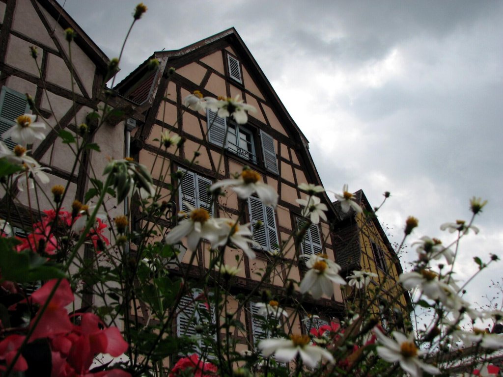 Натиснете снимката за да я уголемите
Име:19.jpg
Прегледи:1
Размер:145.1 КБ
ID:5994977