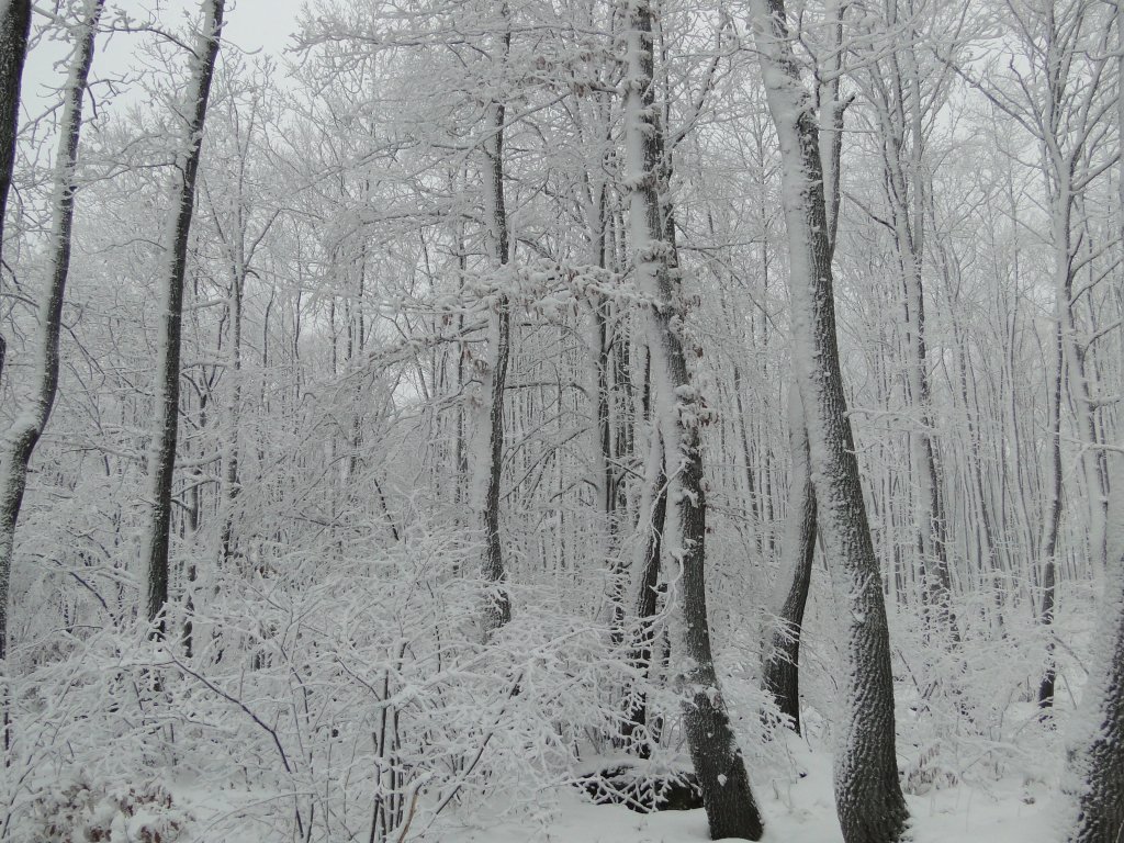 Натиснете снимката за да я уголемите
Име:DSC00429.jpg
Прегледи:2
Размер:248.8 КБ
ID:5995072
