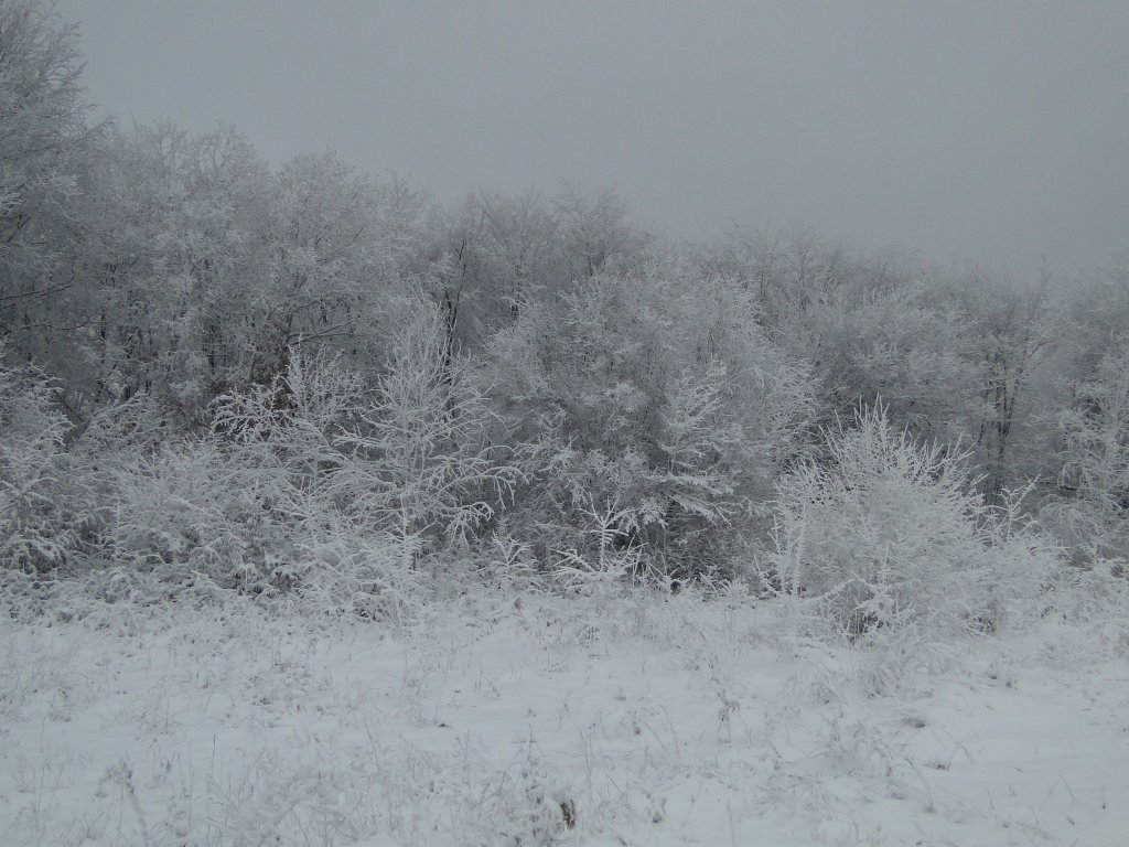 Натиснете снимката за да я уголемите
Име:DSC00437.jpg
Прегледи:2
Размер:148.8 КБ
ID:5995074