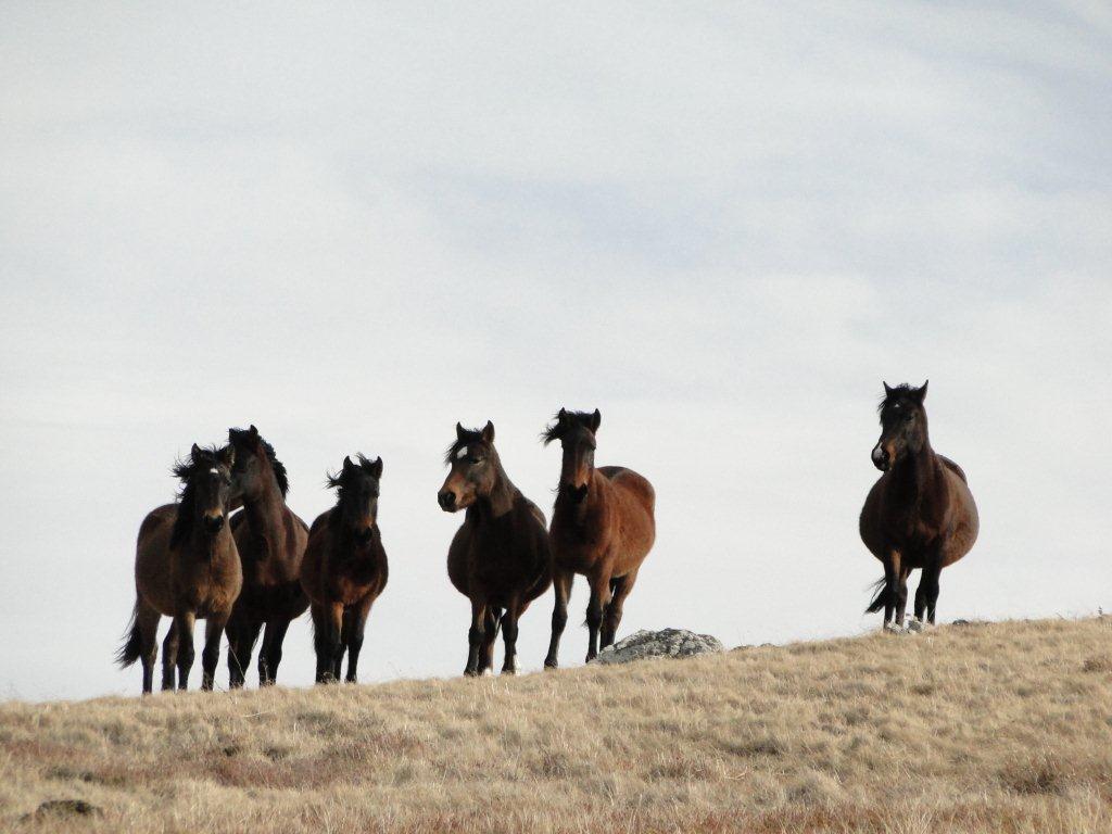 Натиснете снимката за да я уголемите
Име:DSC06821.jpg
Прегледи:1
Размер:81.5 КБ
ID:5996415