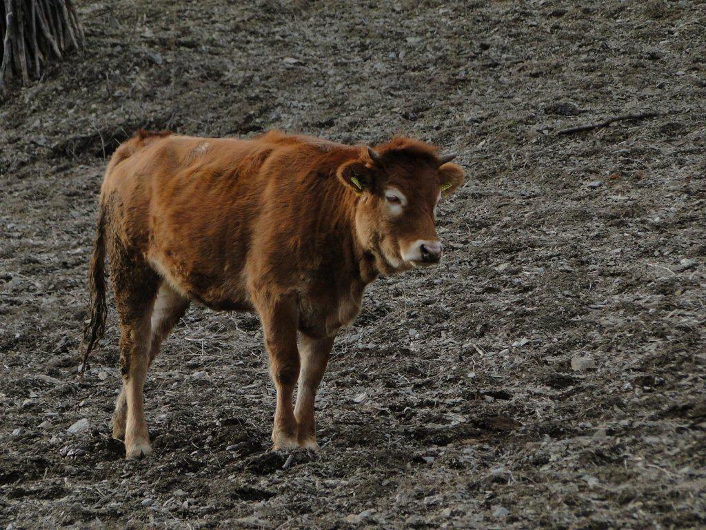 Натиснете снимката за да я уголемите
Име:DSC06894.jpg
Прегледи:1
Размер:218.7 КБ
ID:5996433