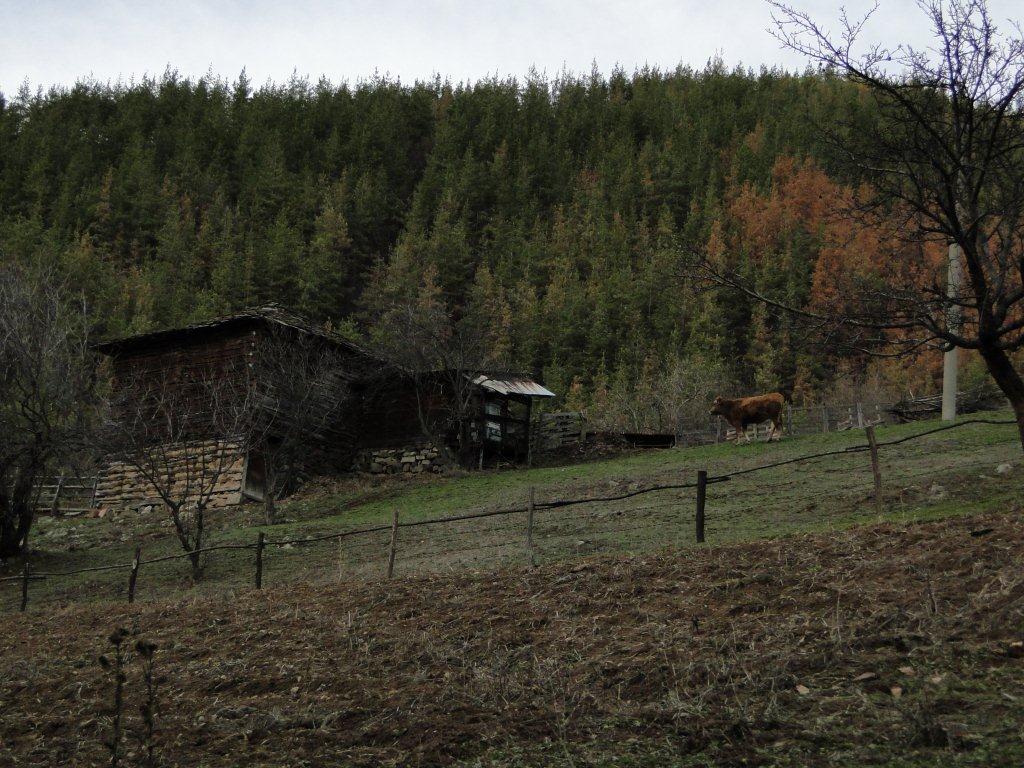 Натиснете снимката за да я уголемите
Име:DSC06895.jpg
Прегледи:1
Размер:174.3 КБ
ID:5996434