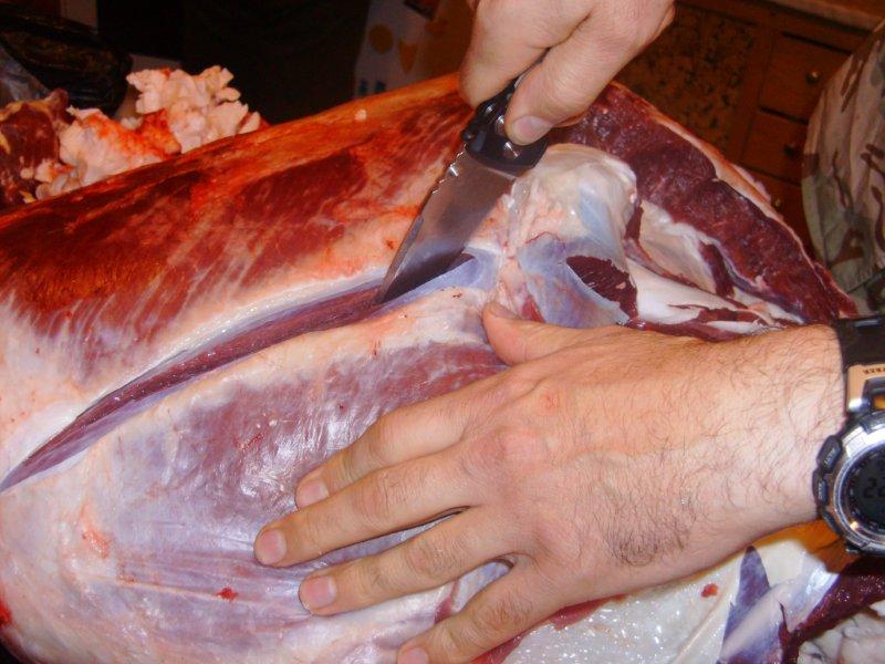 Натиснете снимката за да я уголемите
Име:HPIM7507.jpg
Прегледи:1
Размер:76.5 КБ
ID:5998263