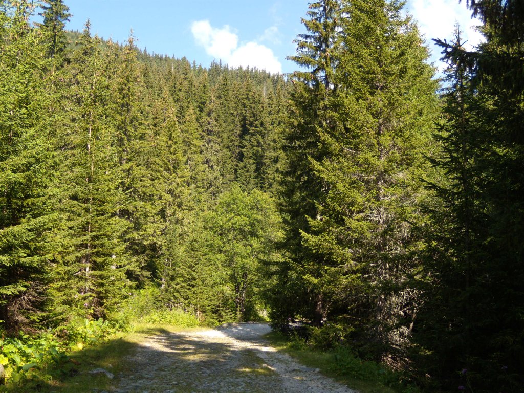 Натиснете снимката за да я уголемите
Име:DSCN5990.jpg
Прегледи:1
Размер:306.0 КБ
ID:6022516