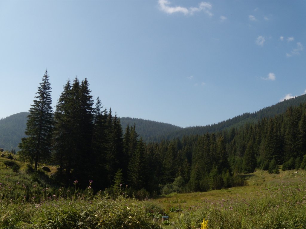 Натиснете снимката за да я уголемите
Име:DSCN6001.jpg
Прегледи:1
Размер:116.5 КБ
ID:6022496