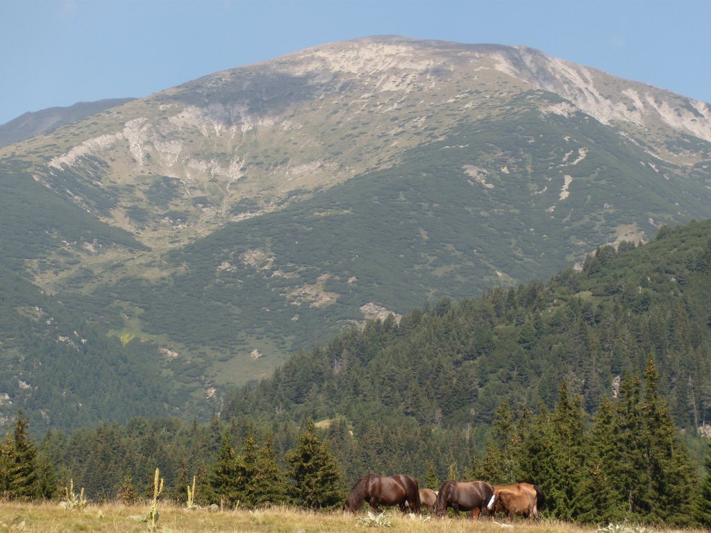 Натиснете снимката за да я уголемите
Име:DSCN6066.jpg
Прегледи:1
Размер:167.7 КБ
ID:6022503