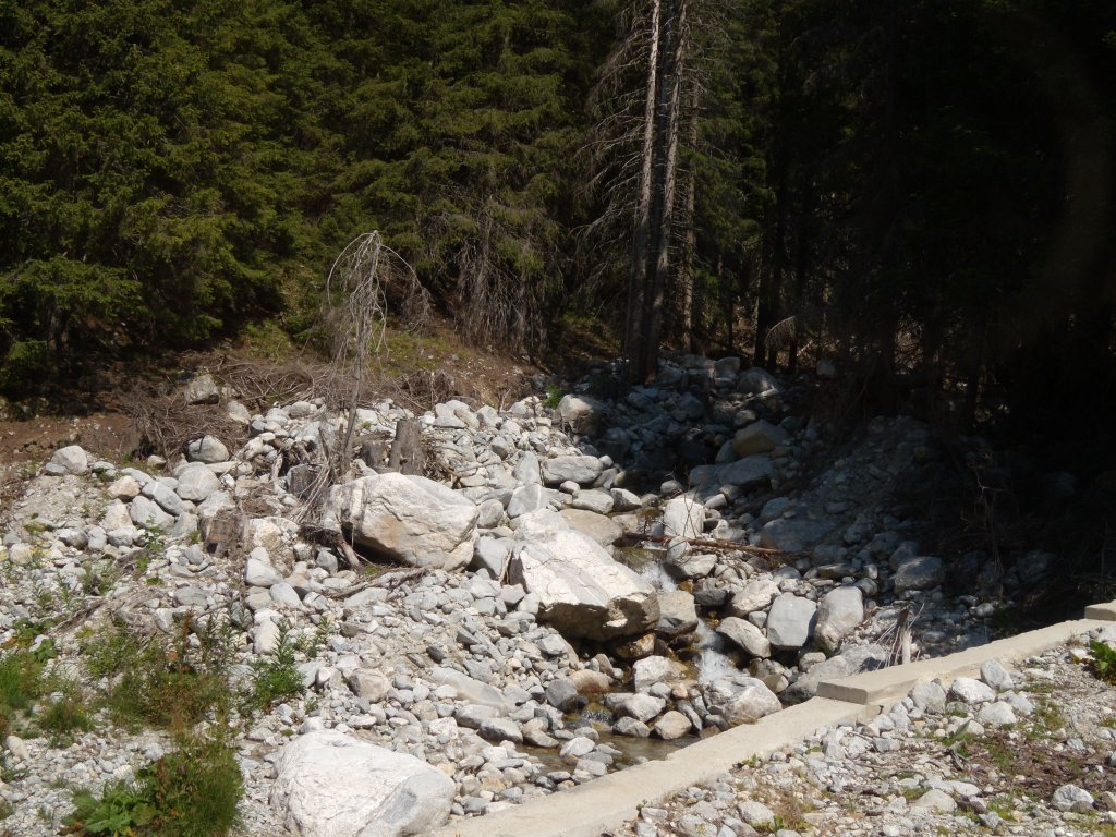 Натиснете снимката за да я уголемите
Име:DSCN6024.jpg
Прегледи:1
Размер:222.3 КБ
ID:6022504