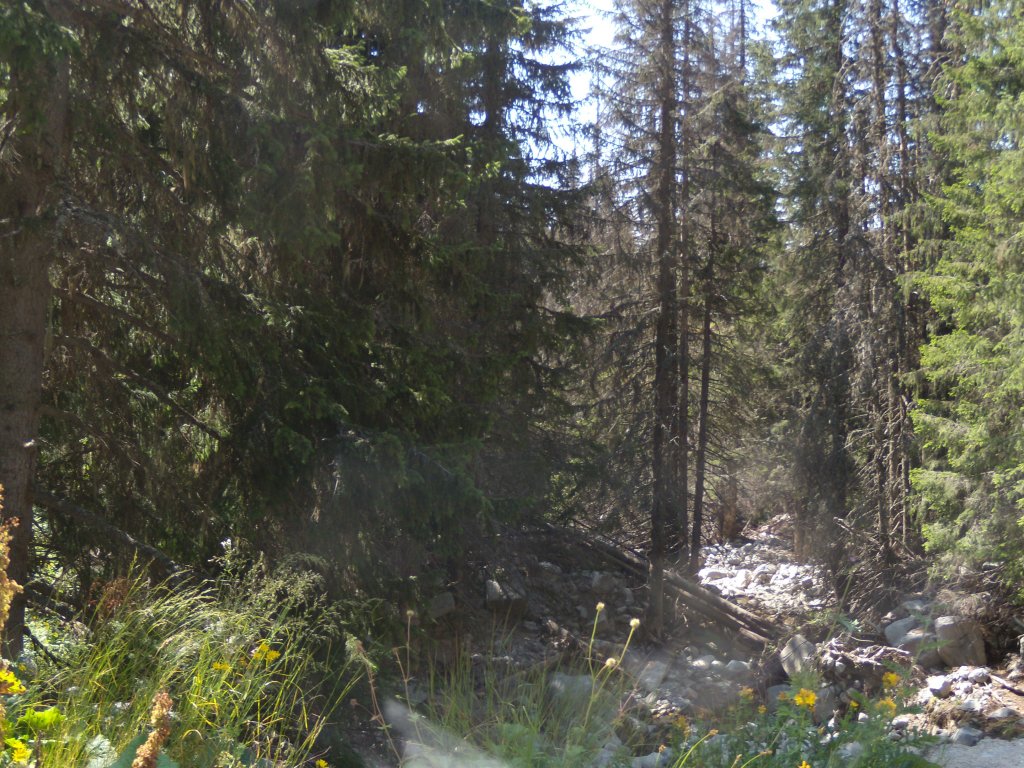 Натиснете снимката за да я уголемите
Име:DSCN6026.jpg
Прегледи:1
Размер:231.5 КБ
ID:6022505