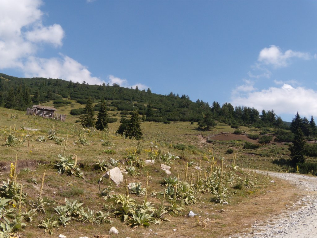 Натиснете снимката за да я уголемите
Име:DSCN6078.jpg
Прегледи:1
Размер:184.2 КБ
ID:6022509