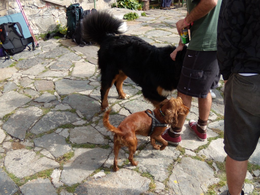 Натиснете снимката за да я уголемите
Име:DSCN6711.jpg
Прегледи:1
Размер:204.3 КБ
ID:6024233