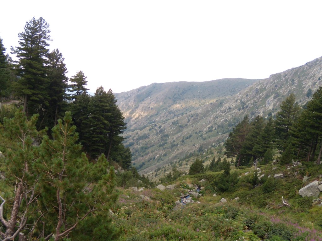 Натиснете снимката за да я уголемите
Име:DSCN6551.jpg
Прегледи:1
Размер:154.9 КБ
ID:6024261