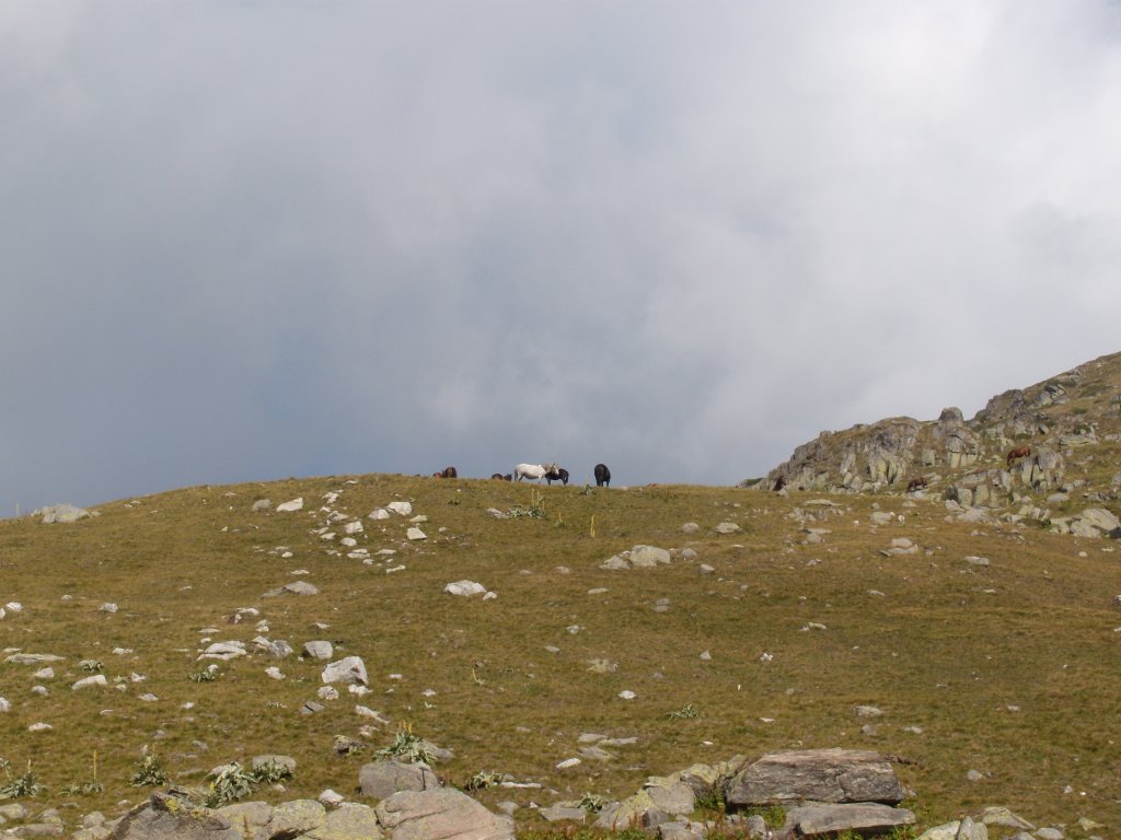 Натиснете снимката за да я уголемите
Име:DSCN6720.jpg
Прегледи:1
Размер:106.2 КБ
ID:6024283