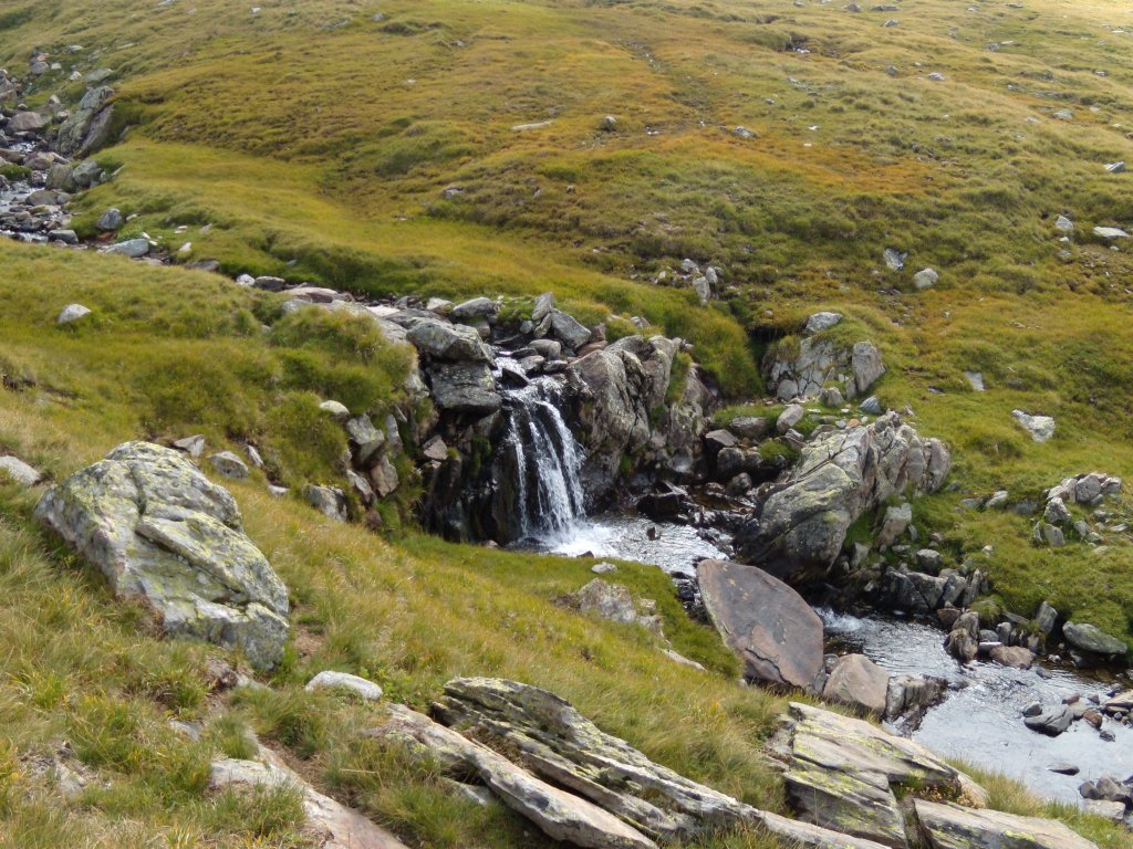 Натиснете снимката за да я уголемите
Име:DSCN6733.jpg
Прегледи:1
Размер:229.7 КБ
ID:6024286