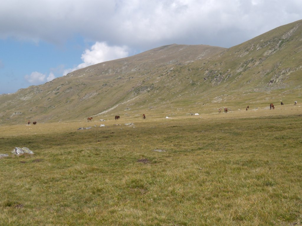 Натиснете снимката за да я уголемите
Име:DSCN6743.jpg
Прегледи:1
Размер:153.3 КБ
ID:6024291