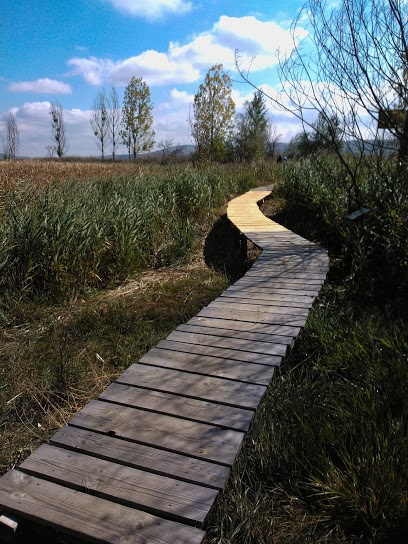 Натиснете снимката за да я уголемите
Име:dragomansko_blato_003111.jpg
Прегледи:1
Размер:89.9 КБ
ID:6027342