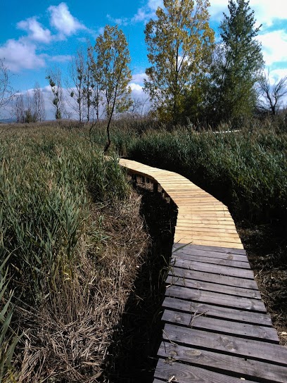 Натиснете снимката за да я уголемите
Име:dragomansko_blato_003112.jpg
Прегледи:1
Размер:101.9 КБ
ID:6027343