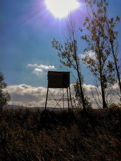 Натиснете снимката за да я уголемите
Име:dragomansko_blato_003113.jpg
Прегледи:1
Размер:76.1 КБ
ID:6027344