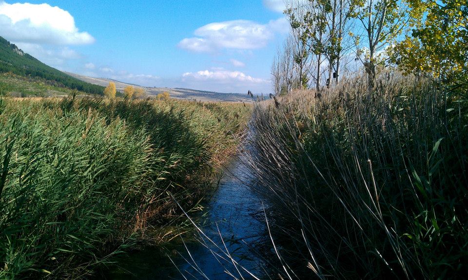 Натиснете снимката за да я уголемите
Име:dragomansko_blato_003114.jpg
Прегледи:1
Размер:159.1 КБ
ID:6027345