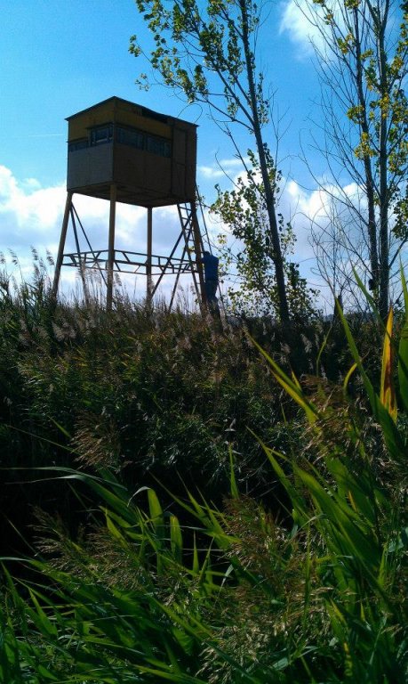 Натиснете снимката за да я уголемите
Име:dragomansko_blato_003116.jpg
Прегледи:1
Размер:117.7 КБ
ID:6027347