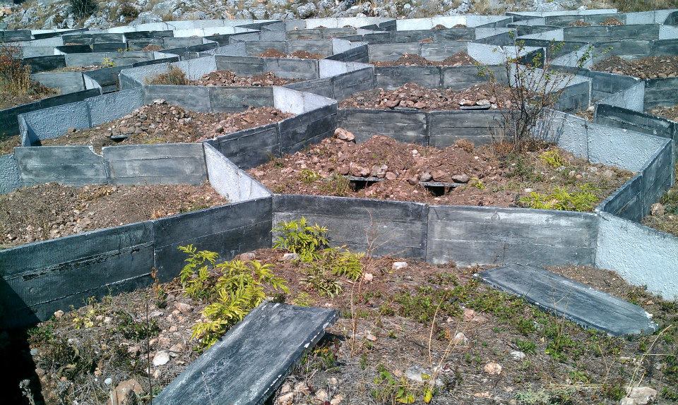 Натиснете снимката за да я уголемите
Име:Turtle_003104.jpg
Прегледи:1
Размер:196.8 КБ
ID:6027348