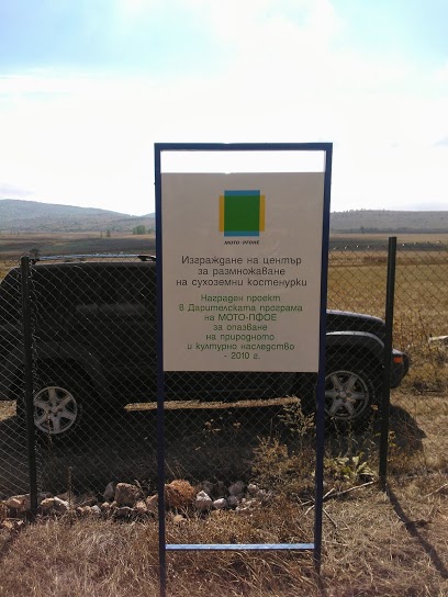 Натиснете снимката за да я уголемите
Име:Turtle_003103.jpg
Прегледи:1
Размер:65.8 КБ
ID:6027349