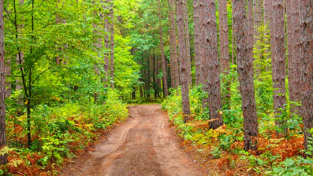 Натиснете снимката за да я уголемите
Име:6.jpg
Прегледи:1
Размер:246.6 КБ
ID:6029058