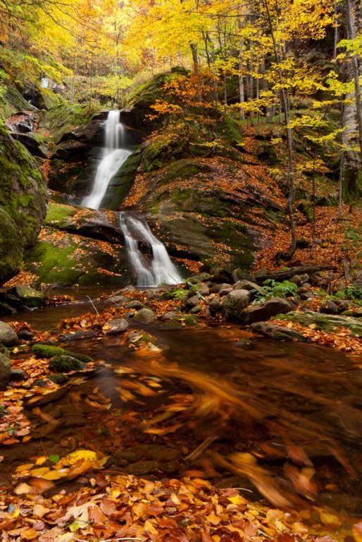 Натиснете снимката за да я уголемите
Име:IMGP4745-r.jpg
Прегледи:1
Размер:135.1 КБ
ID:6030768