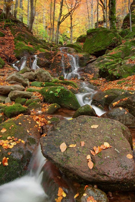 Натиснете снимката за да я уголемите
Име:IMGP4753-r.jpg
Прегледи:1
Размер:133.8 КБ
ID:6030770