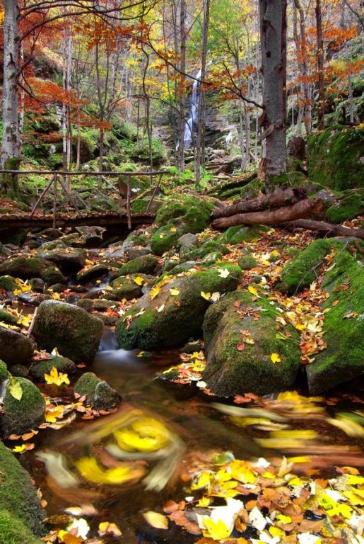 Натиснете снимката за да я уголемите
Име:IMGP4665-r.jpg
Прегледи:1
Размер:146.8 КБ
ID:6030771