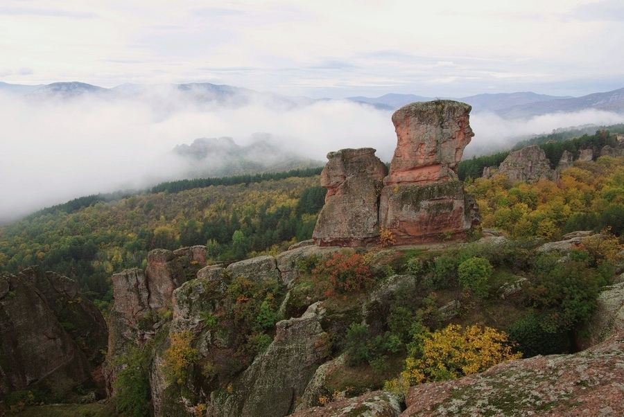 Натиснете снимката за да я уголемите
Име:IMGP4616-r.jpg
Прегледи:1
Размер:254.0 КБ
ID:6030773